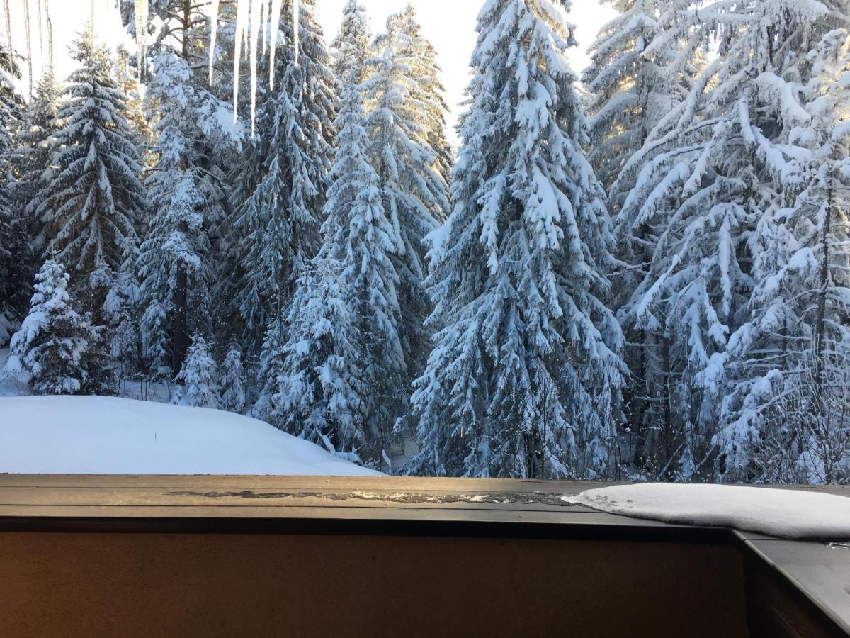 Borovets Chalets מראה חיצוני תמונה