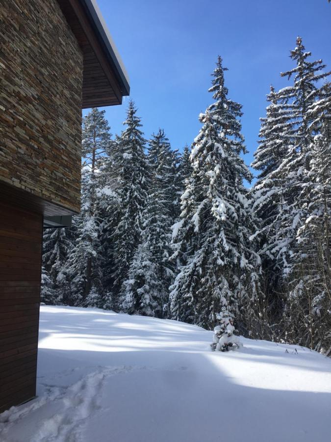Borovets Chalets מראה חיצוני תמונה