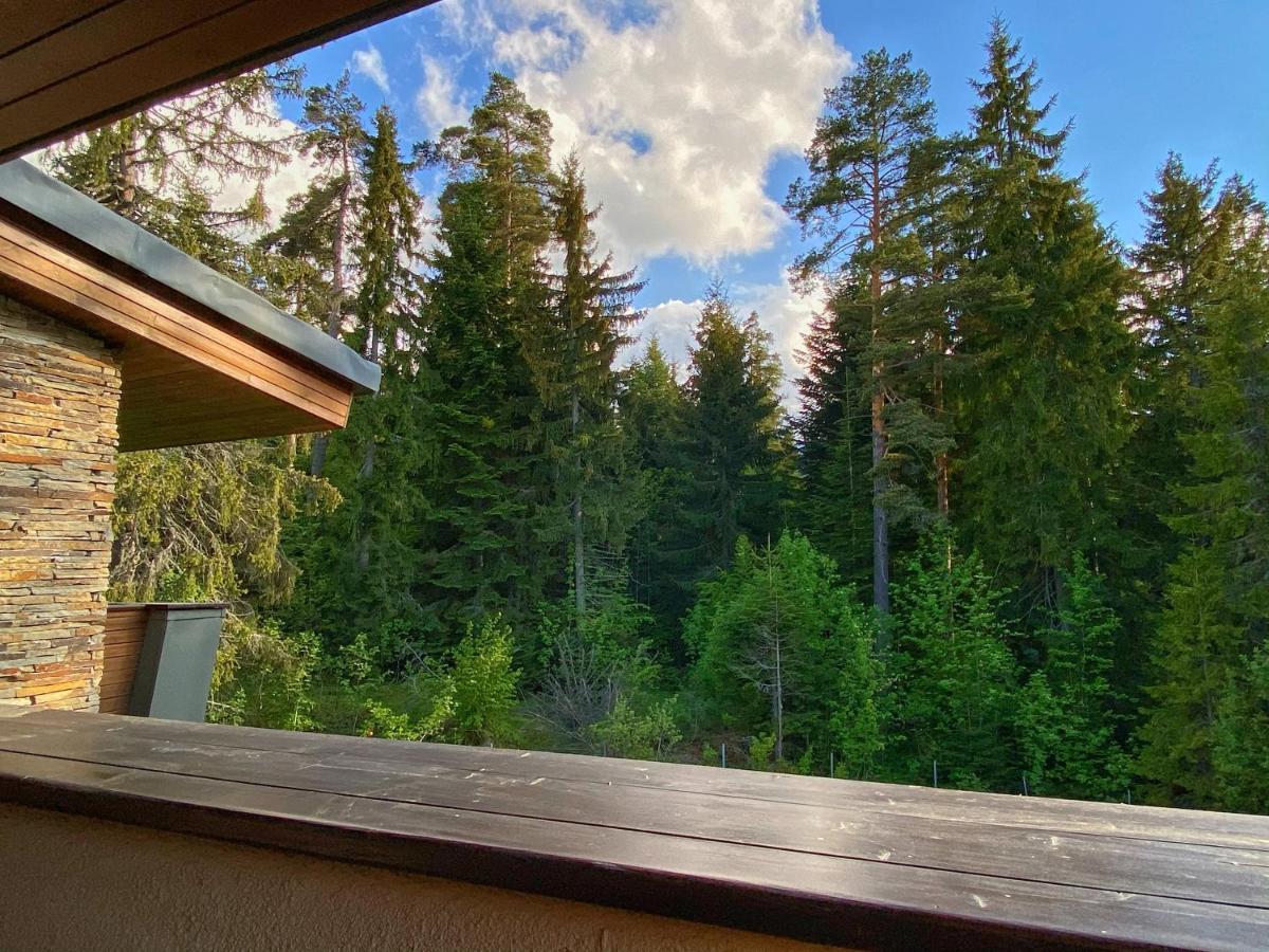 Borovets Chalets מראה חיצוני תמונה
